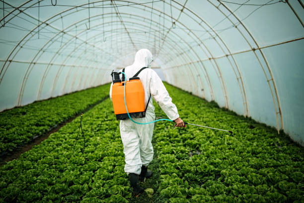 Pest Control Cost in Mccom, MS