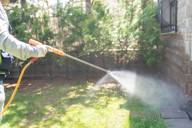 Best Local Pest Control Services  in Mccom, MS