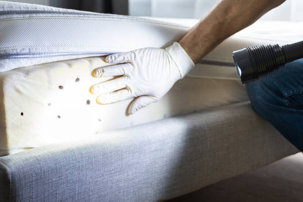 Best Pest Removal Services  in Mccom, MS